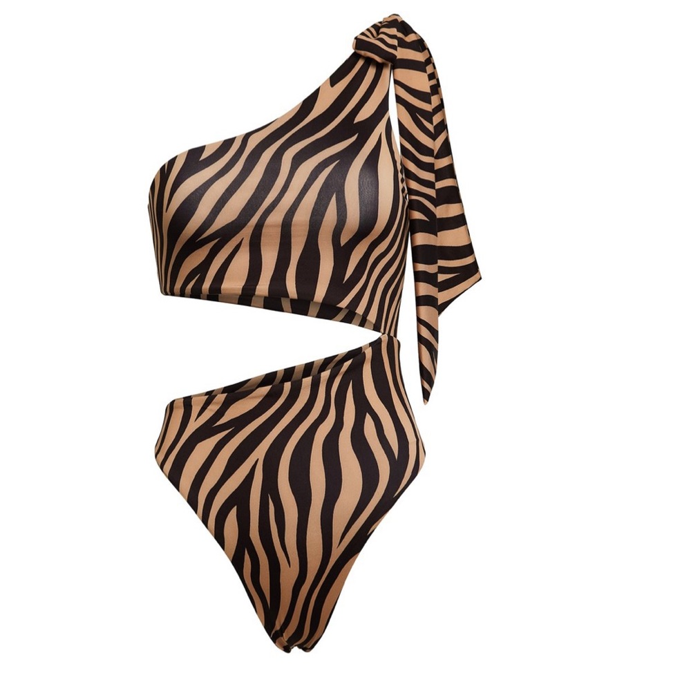 Same swimsuit cut out zebra